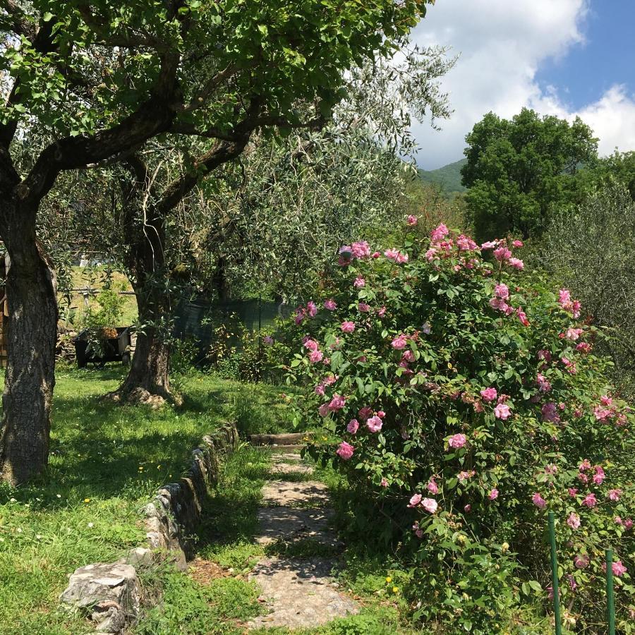 Il Chiostrino Bed & Breakfast Gardone Riviera Exterior photo